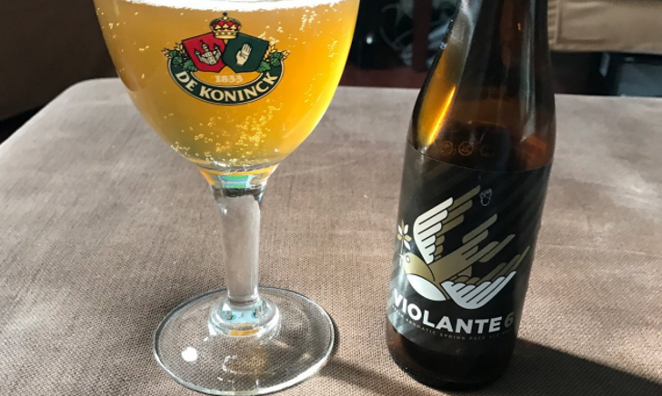 Maximus Violante 6 fles en glas